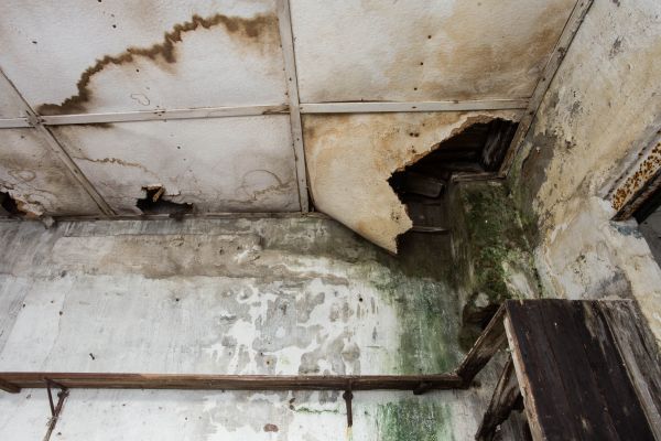 Water Damage Service in Independence