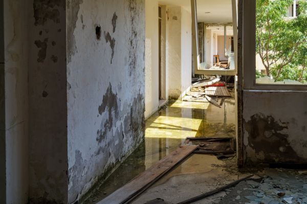 Cost of Water Removal Service in Independence
