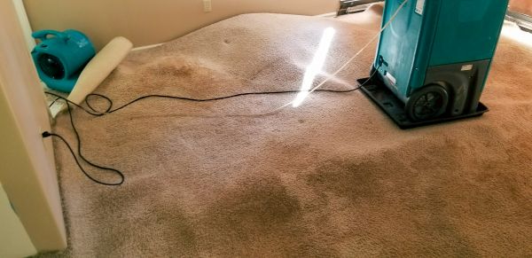 Cost of Carpet Water Extraction in Independence