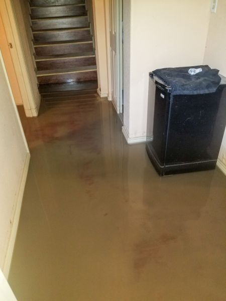 Cost of Emergency Water Removal in Independence