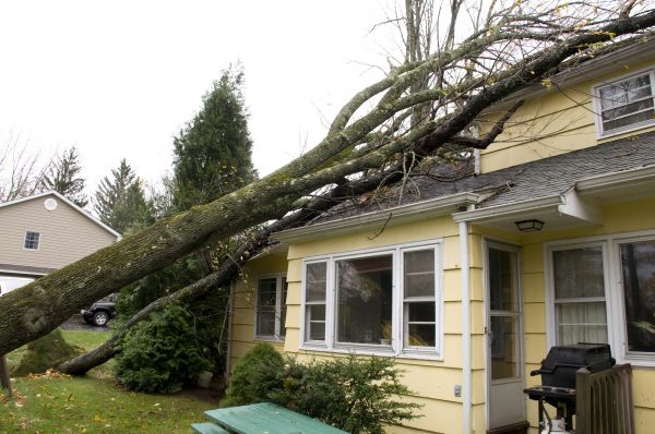 Hurricane Damage Repair in Independence