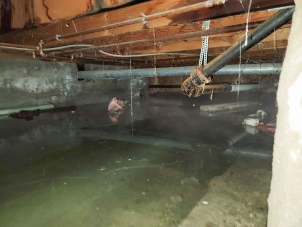 Cost of Crawlspace Water Restoration in Independence